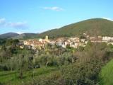 Particella, SANTA LUCE, 55.000 €, 30000,00 mq