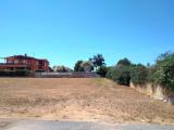 Particella, SAN FELICE CIRCEO, 80.000 €, 1000,00 mq