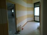 Affitto, Superfici commerciali, PONSACCO, 1.600 €, 250,00 mq