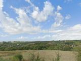 Particella, MAGLIANO IN TOSCANA, 120.000 €, 120,00 mq