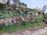 Particella, ALTOFONTE, 200.000 €, 1500,00 mq