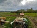 Particella, TERRICCIOLA, 25.000 €, 4520,00 mq