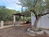 Particella, MONOPOLI, 35.000 €, 3400,00 mq