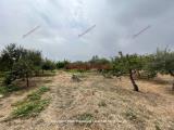 Particella, CASTELDACCIA, 185.000 €, 10000,00 mq