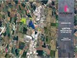 Particella, LOREGGIA, <i>A richiesta</i>, 6000,00 mq