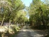 Particella, ACQUAPENDENTE, 3.000.000 €, 2500,00 mq