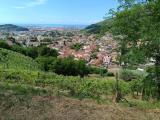 Particella, CARRARA, Fossola, 60.000 €, 6000,00 mq