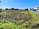 Particella, CIRIMIDO, 180.000 €, 2254,00 mq