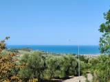 Particella, ACQUAVIVA PICENA, 105.000 €, 1795,00 mq