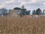Particella, DERUTA, 340.000 €, 766,00 mq