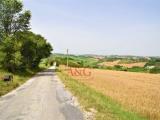 Superfici commerciali, TORRE SAN PATRIZIO, 120.000 €