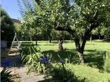 Casa, MARTELLAGO, 390.000 €, 260,00 mq