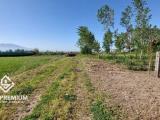Particella, ACERRA, 29.000 €, 900,00 mq