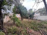 Particella, PALERMO, 225.000 €, 650,00 mq