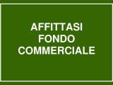 Affitto, Superfici commerciali, CECINA, 1.100 €, 50,00 mq
