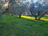 Casa, LANUVIO, 129.000 €, 150,00 mq