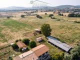 Particella, CAPALBIO, 650.000 €, 1000,00 mq