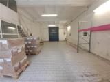 Affitto, Superfici commerciali, FIRENZE, 2.500 €, 230,00 mq