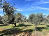 Particella, LECCE, 12.000 €, 6330,00 mq