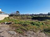 Particella, BAGNOLO DEL SALENTO, 72.000 €, 925,00 mq