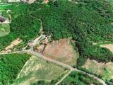 Particella, SALSOMAGGIORE TERME, 100.000 €, 3000,00 mq