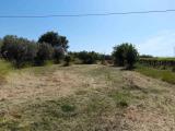 Particella, VASTO, 63.000 €, 1170,00 mq