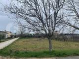 Particella, ASSISI, 40.000 €, 2200,00 mq