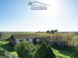 Casa, CAPALBIO, 170.000 €, 330,00 mq