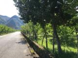 Particella, GIFFONI VALLE PIANA, 45.000 €, 15000,00 mq
