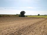 Particella, CAPALBIO, 162.000 €