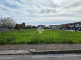 Particella, MASSANZAGO, 120.000 €, 1351,00 mq