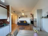 Affitto, Appartamento, LISSONE, 650 €, 40,00 mq