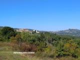 Particella, TODI, 54.000 €, 34000,00 mq