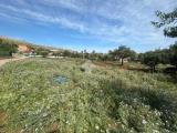 Particella, PALERMO, 32.000 €, 1600,00 mq