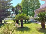 Casa, NETTUNO, 236.000 €, 230,00 mq