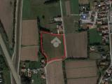 Particella, CASTELFRANCO VENETO, 120.000 €, 14886,00 mq