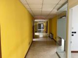 Superfici commerciali, PADOVA, <i>A richiesta</i>, 1050,00 mq