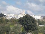 Particella, MARTINA FRANCA, 70.000 €, 12000,00 mq