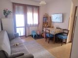 Affitto, Appartamento, PISA, 550 €, 43,00 mq