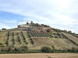 Particella, MONTEPRANDONE, 220.000 €, 340,00 mq