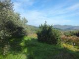 Particella, MURAVERA, 30.000 €, 10760,00 mq