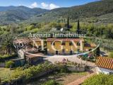 Particella, VICOPISANO, 466.000 €, 262,00 mq