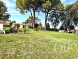 Casa, COLLESALVETTI, 470.000 €, 160,00 mq
