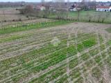 Particella, MIRANO, 45.000 €, 9360,00 mq