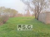 Superfici commerciali, MIRANO, 95.000 €, 145,00 mq