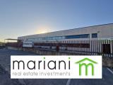 Affitto, Superfici commerciali, ROMANA, 25.000 €, 2950,00 mq