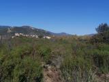 Particella, PULA, 280.000 €, 37437,00 mq