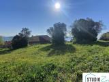 Particella, AMELIA, 40.000 €, 1300,00 mq
