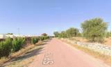 Particella, CASAMASSIMA, 67.500 €, 50000,00 mq