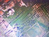 Particella, MENTANA, 1.100.000 €, 5000,00 mq